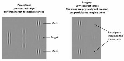 Early-Stage Vision and Perceptual Imagery in Autism Spectrum Conditions